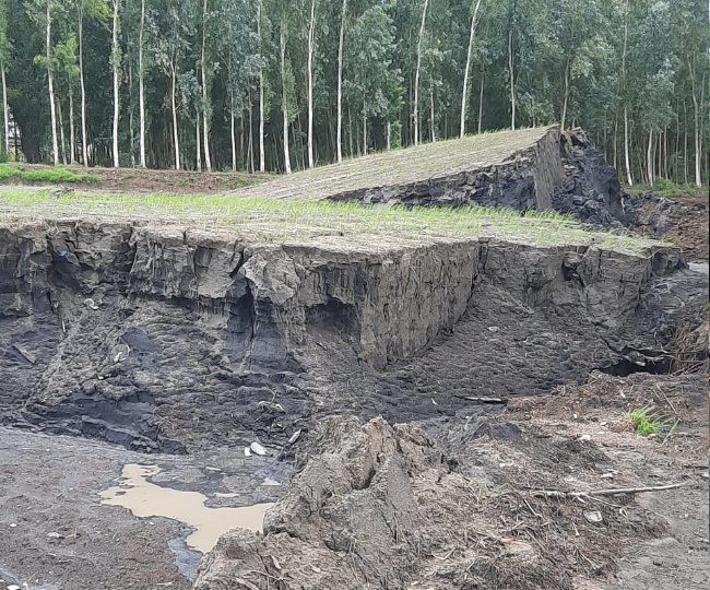 Karnal video viral News